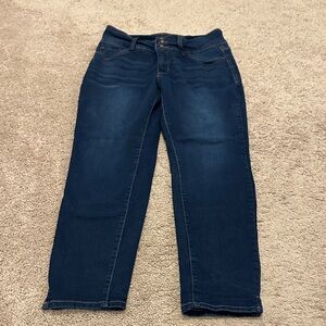 Curve Appeal High Rise Skinny Jeans